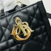 Black Calfskin Dior New Tote