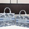 Authentic Dior Book Tote, Large and Medium Size
