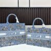 Authentic Dior Book Tote, Large and Medium Size