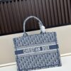 Authentic Dior Book Tote, Large and Medium Size