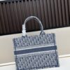 Authentic Dior Book Tote, Large and Medium Size