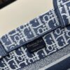 Authentic Dior Book Tote, Large and Medium Size