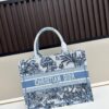 Authentic Dior Book Tote, Large and Medium Size