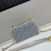 DIOR Miss Caro Chain Handbag