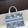 Authentic Dior Book Tote, Large and Medium Size