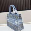 Authentic Dior Book Tote, Large and Medium Size