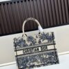 Authentic Dior Book Tote, Large and Medium Size