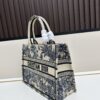 Authentic Dior Book Tote, Large and Medium Size