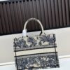 Authentic Dior Book Tote, Large and Medium Size