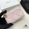 Dior 4778 Small Leather Pouch in Black and Pink