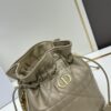 Dior Jolie Bucket Bag in Black Calfskin with Cannage Stitching, 2025 New Arrival