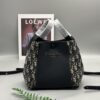 New Dior Signature Printed Bucket Bag