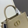 Dior High-Quality New Arrival Fall/Winter Collection Small Book Tote Bag