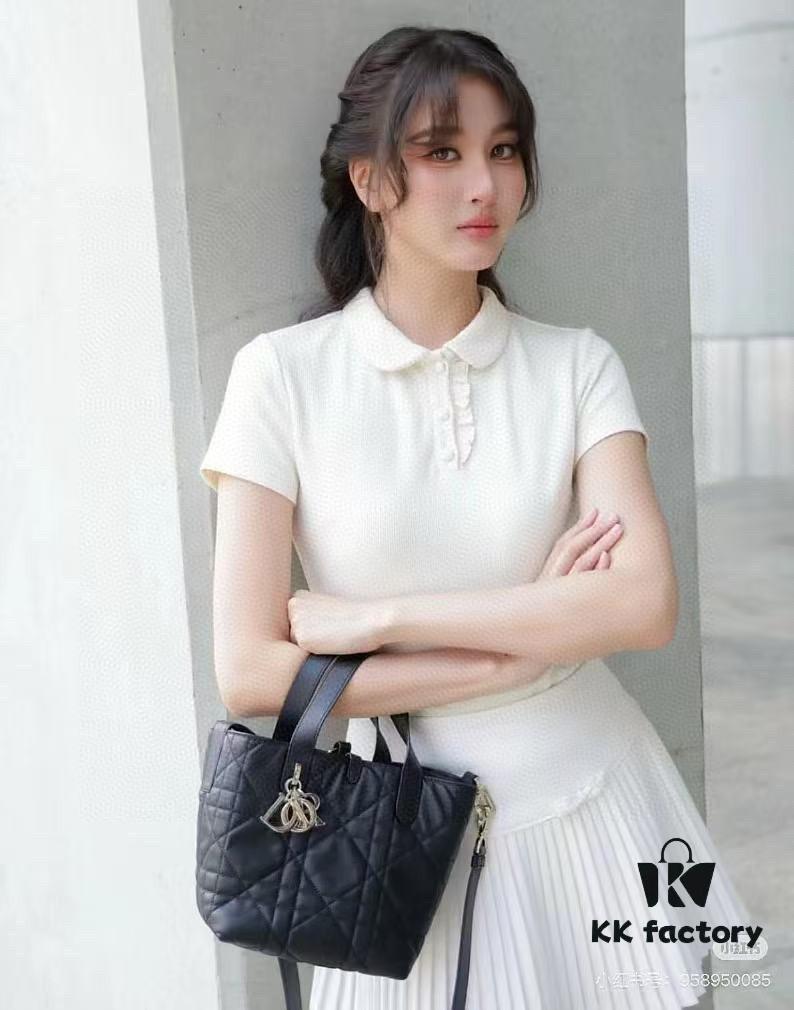 Medium and Small Size 360, First-Layer Leather Dior Toujours Vertical Handbag