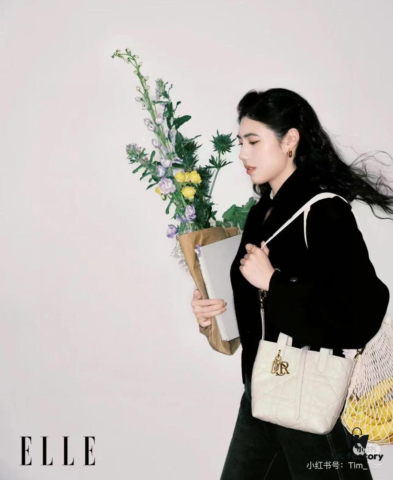 Medium and Small Size 360, First-Layer Leather Dior Toujours Vertical Handbag