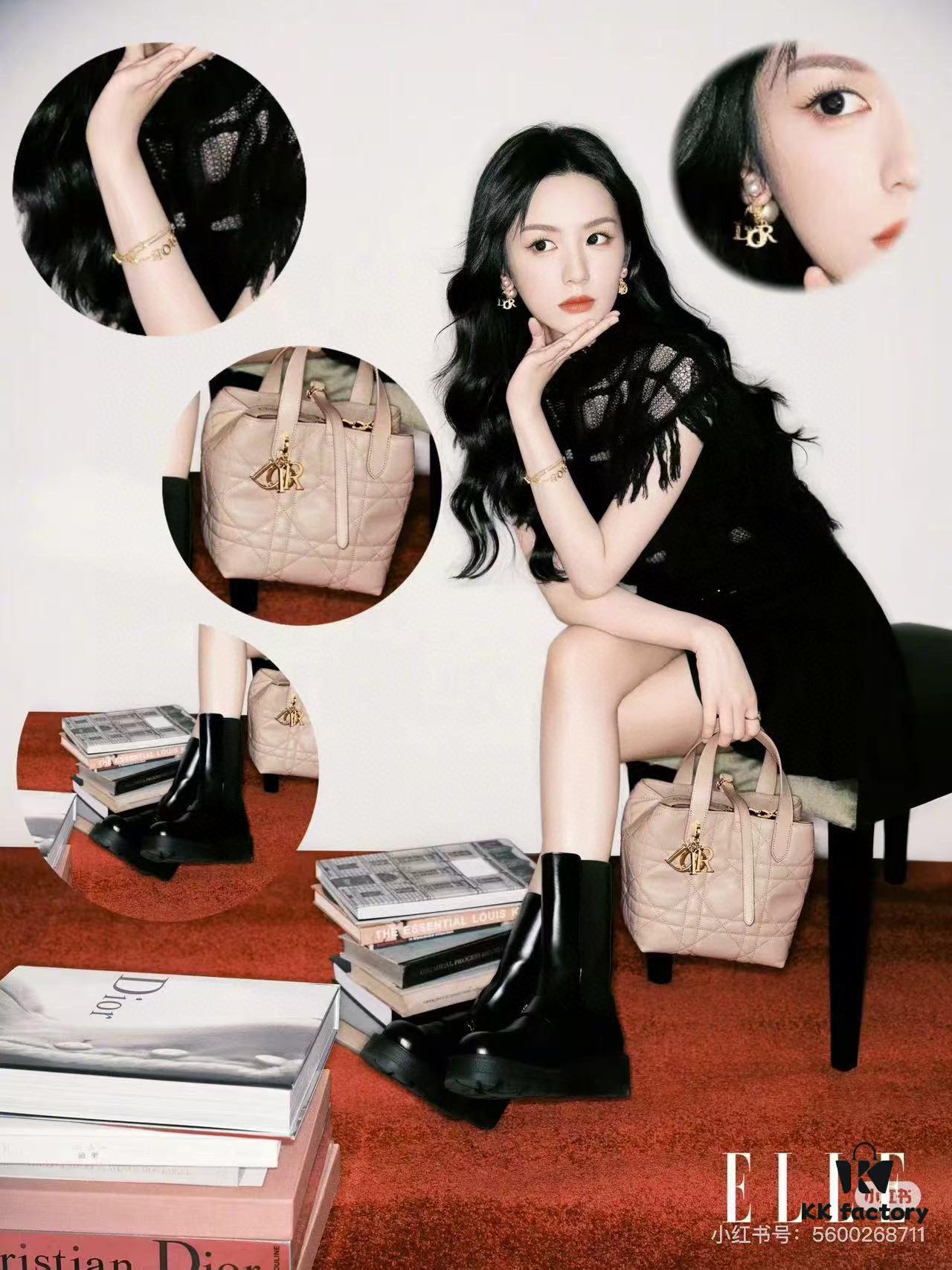 Medium and Small Size 360, First-Layer Leather Dior Toujours Vertical Handbag