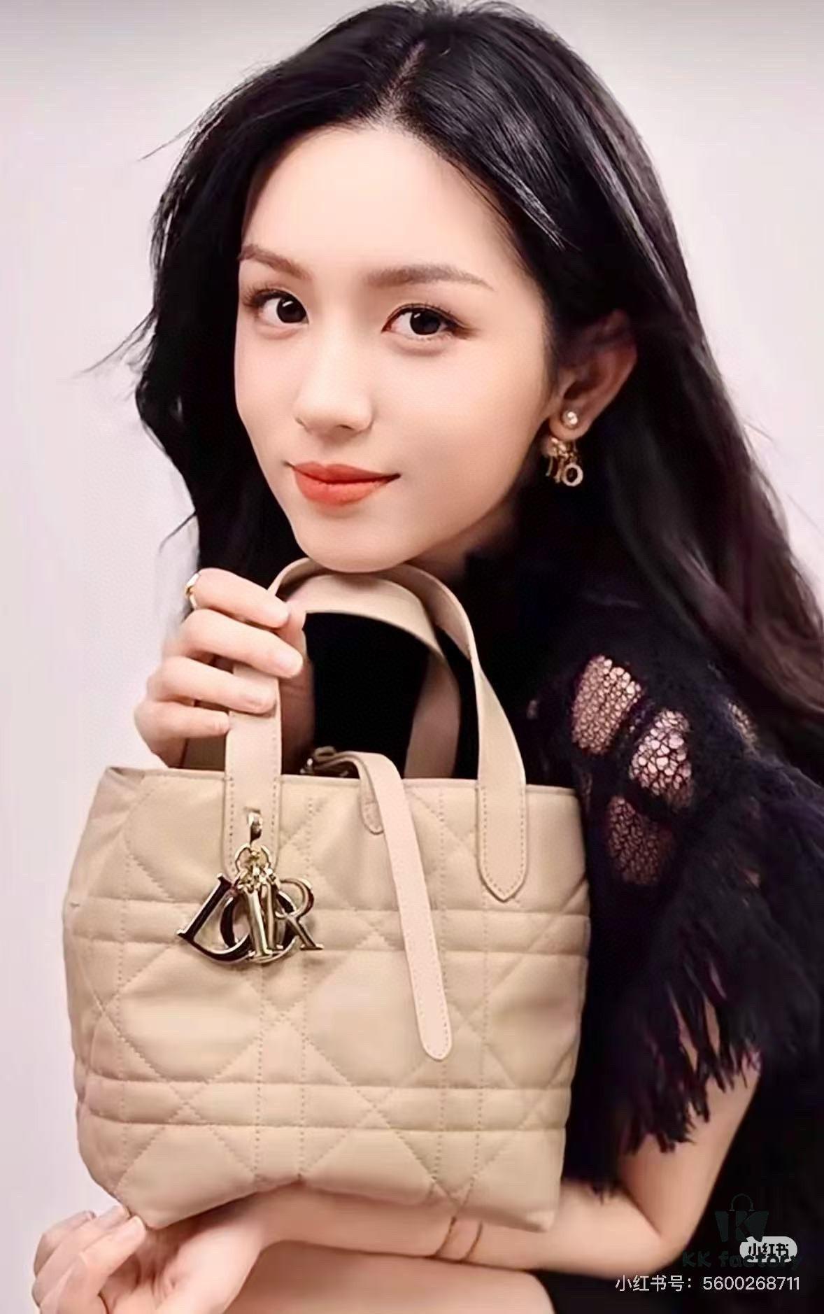 Medium and Small Size 360, First-Layer Leather Dior Toujours Vertical Handbag