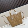 Large 360 and Small First-Layer Leather Dior Toujours Vertical Handbag