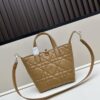Large 360 and Small First-Layer Leather Dior Toujours Vertical Handbag