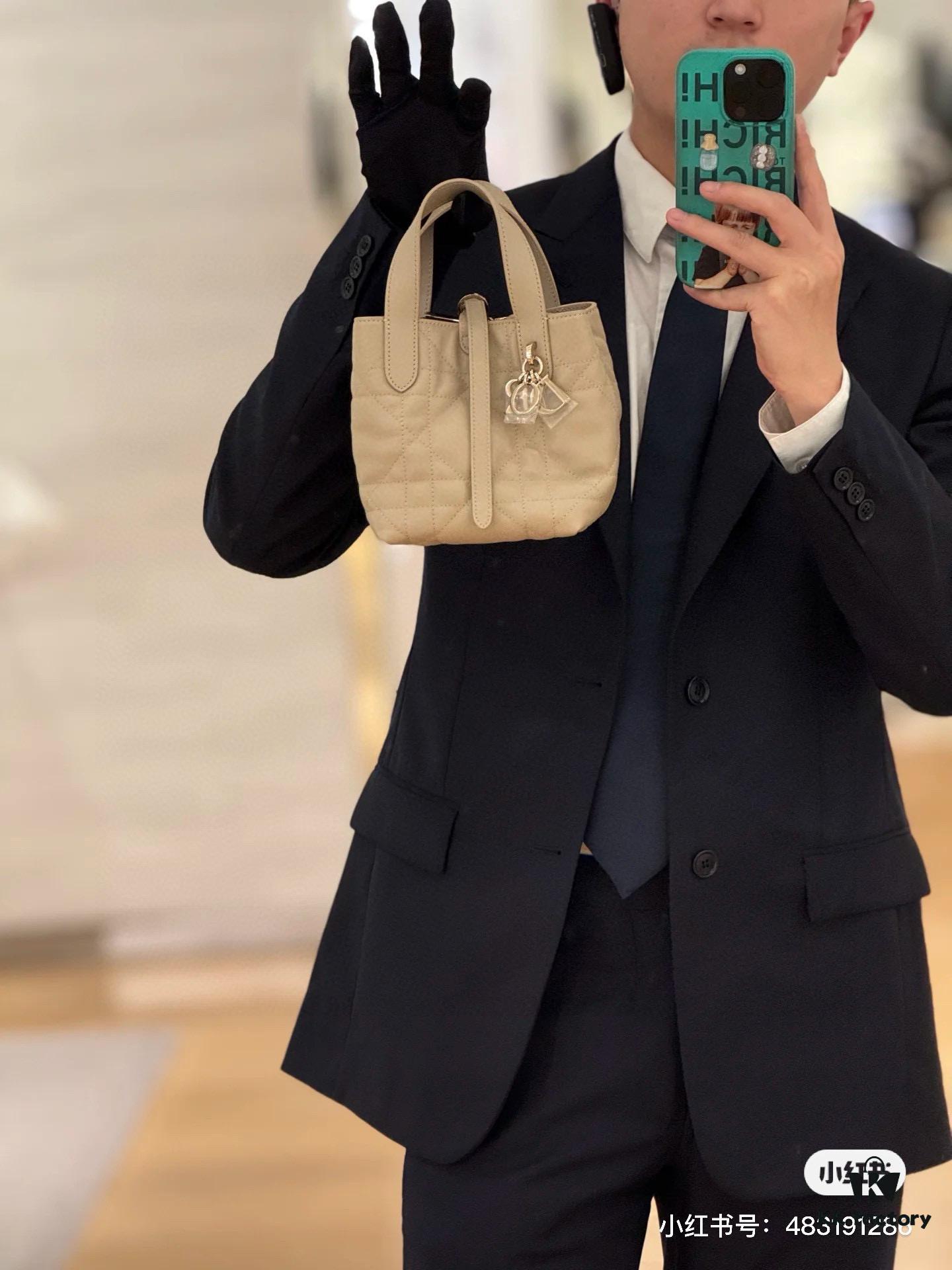 Dior Toujours Vertical Handbag in Blush Beige Calfskin Leather with Cannage Stitching