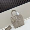 Dior Toujours Vertical Handbag in Blush Beige Calfskin Leather - Small Size