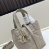 Dior Toujours Vertical Handbag in Blush Beige Calfskin Leather - Small Size