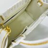 Dior Book Tote24 Early Spring New Arrival Small Size with Leather Trim