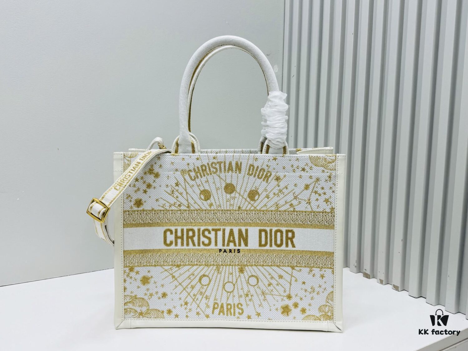 Dior Book Tote24 Early Spring New Arrival Medium Size with Leather Trims