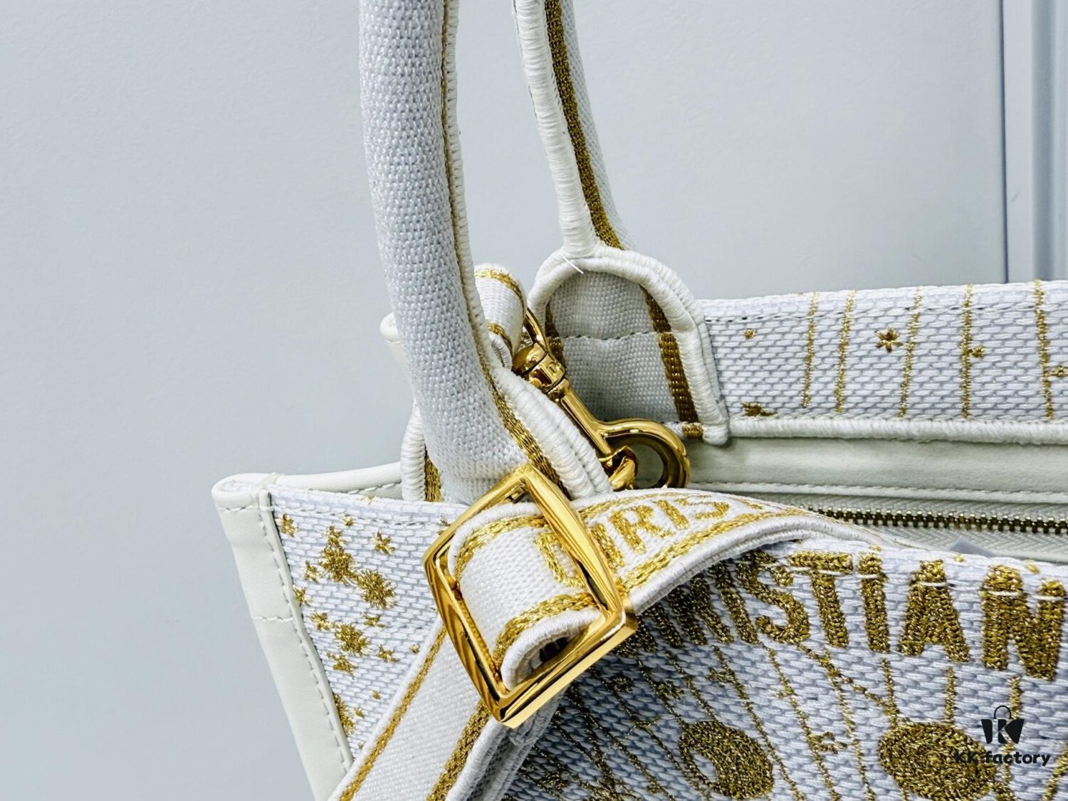 Dior Book Tote24 Early Spring New Arrival Small Size with Leather Trim