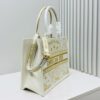 Dior Book Tote24 Early Spring New Arrival Medium Size with Leather Trim