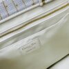Dior Book Tote24 Early Spring New Arrival Medium Size with Leather Trim