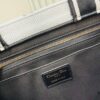 Dior Book Tote24 Early Spring New Arrival Medium Size with Leather Trim