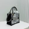 Dior Book Tote 24 Early Spring New Arrival Small Size with Leather Trim