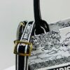 Dior Book Tote 24 Early Spring New Arrival Small Size with Leather Trim