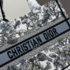 Authentic Dior Book Tote – Large 330, Medium, Small