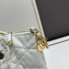 DIOR 2025 New Vintage-Style Book Tote Bag, a Surprisingly Stylish Rare Piece