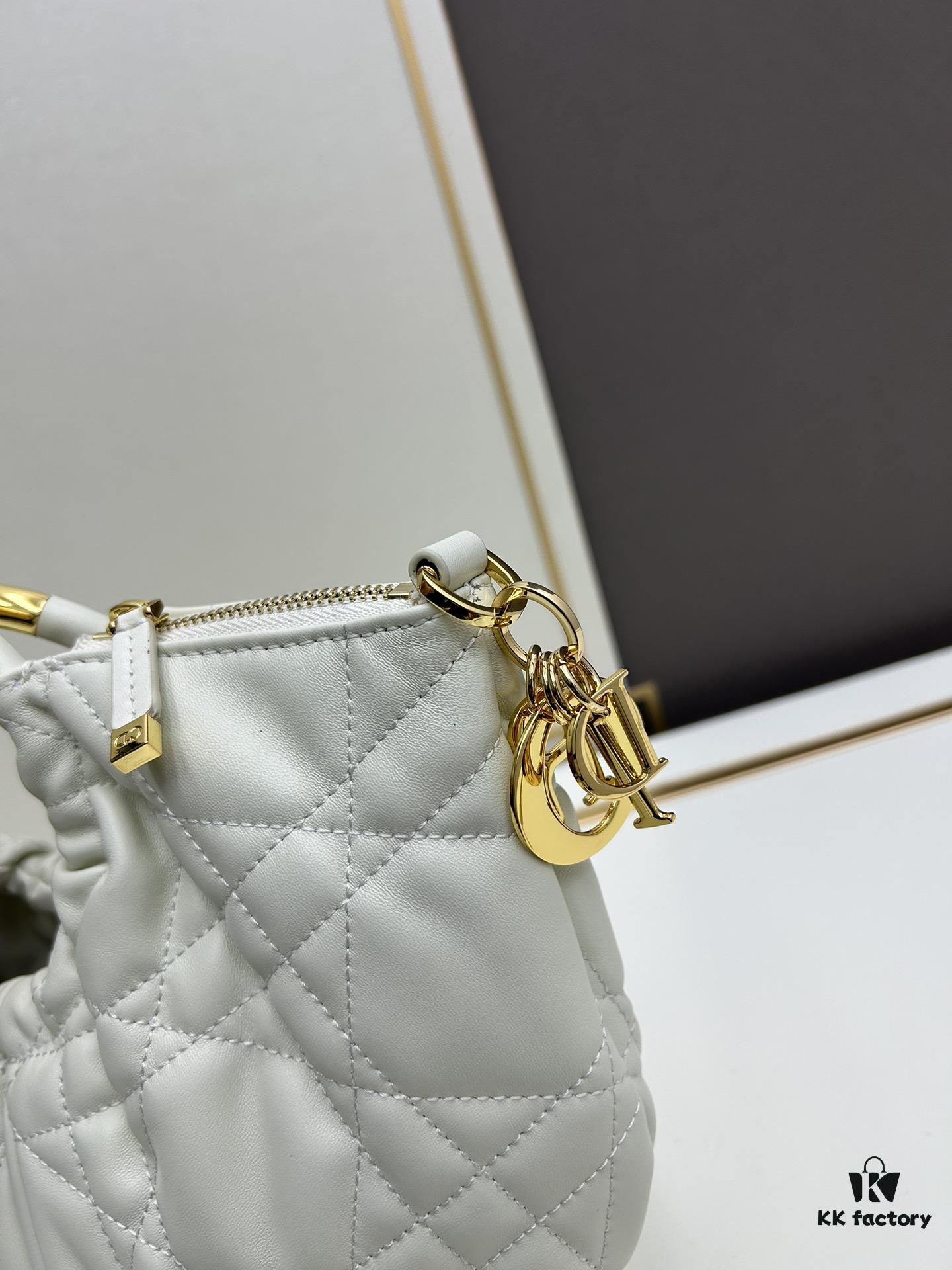 DIOR 2025 New Vintage-Style Book Tote Bag, a Surprisingly Stylish Rare Piece