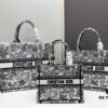 Original Order Large 330, Medium 310, Small 270 [Dior Book Tote]