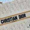 Dior Book Tote24 Early Spring New Arrival Small Size with Leather Trim