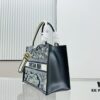 Black Blue Tiger, Small Size DIOR Book Tote24 Spring Collection