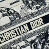 White Background with Black Bird, Small Size Dior Book Tote 24 Spring Collection