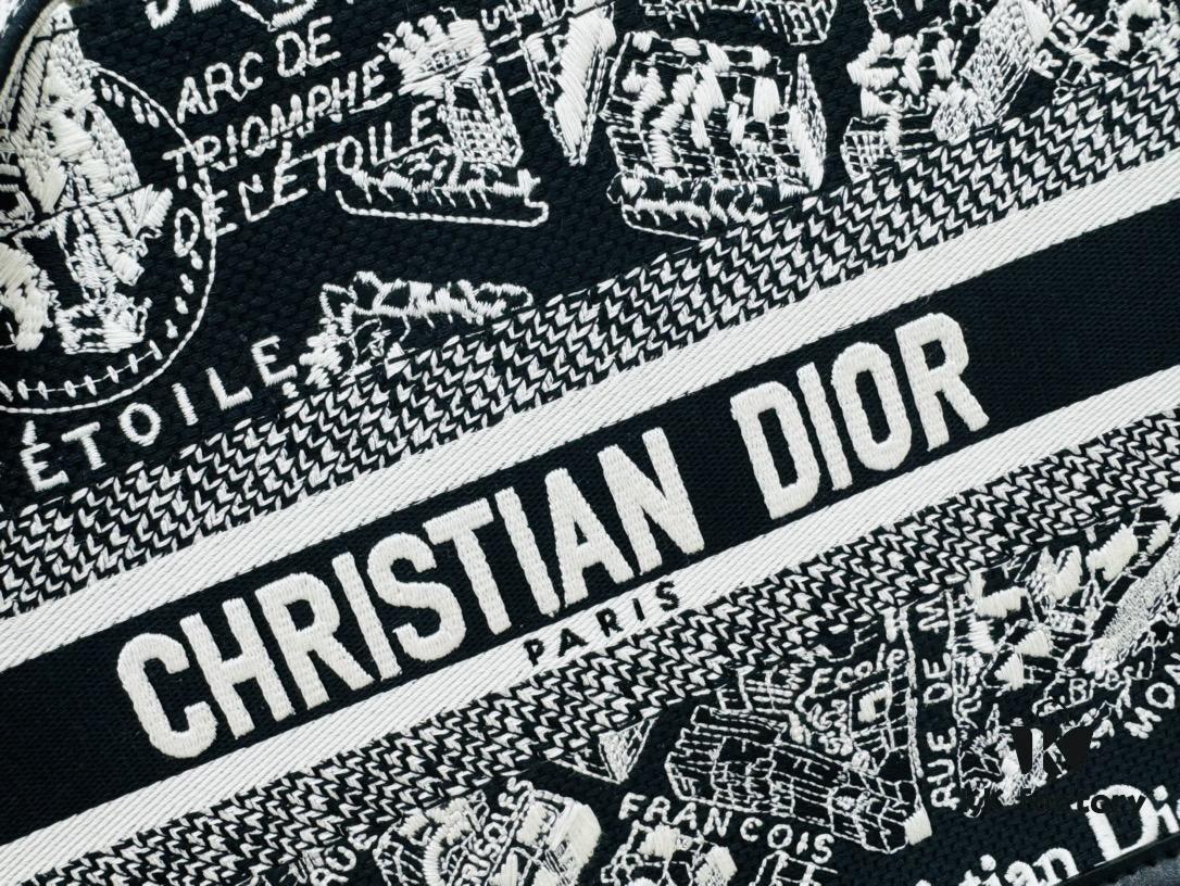 Dior Book Tote24 Early Spring New Arrival, Small Size