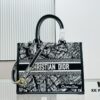 Black River, Medium Size Dior Book Tote 24 Spring New Arrival