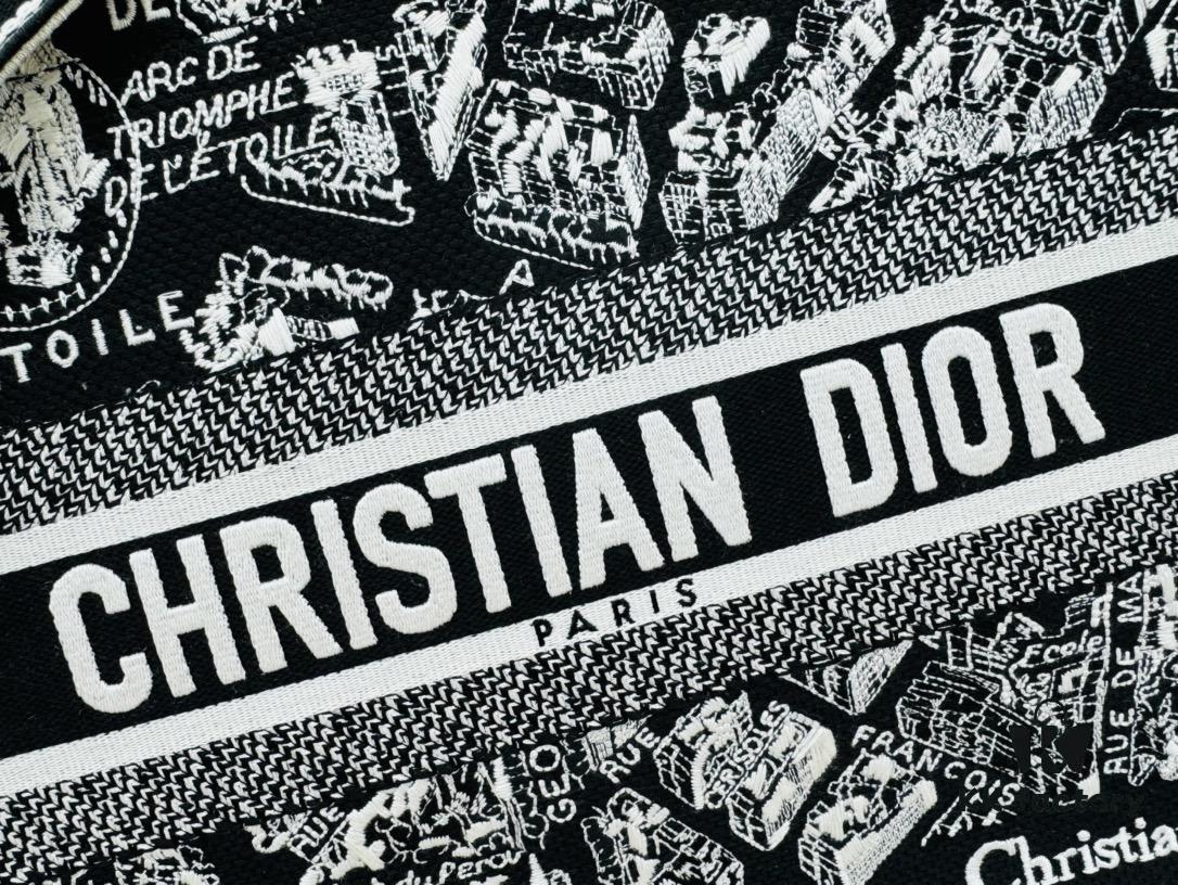 Black River, Medium Size Dior Book Tote 24 Spring New Arrival