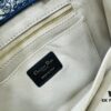 White with Blue Tiger, Small Size Dior Book Tote24 Spring Collection