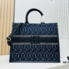 Dior Book Tote24 Early Spring New Arrival Large Size with Leather Trim