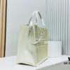 Dior Book Tote24 Early Spring New Arrival