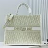 Dior Book Tote24 Early Spring New Arrival