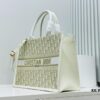 Dior Book Tote24 Midsize with Leather Trim - Early Spring New Arrival