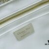 Dior Book Tote24 Early Spring New Arrival
